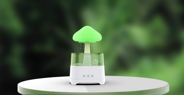 5 IN 1 Bluetooth Speaker Rain Cloud Humidifier, switchable 7 colors, 450ml capacity super quiet, intelligent anti-dry function ___________________